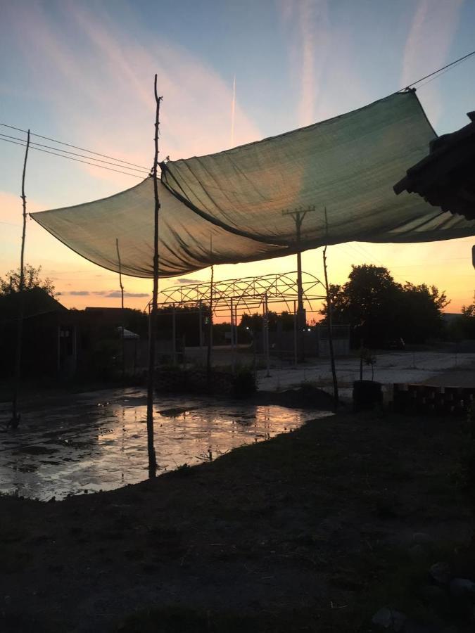 Anza Camping Shkodër Exteriör bild