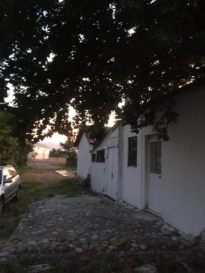 Anza Camping Shkodër Exteriör bild