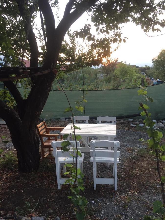 Anza Camping Shkodër Exteriör bild