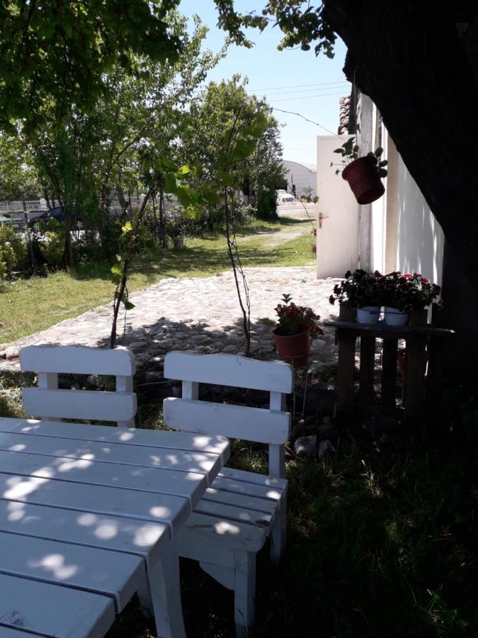 Anza Camping Shkodër Exteriör bild