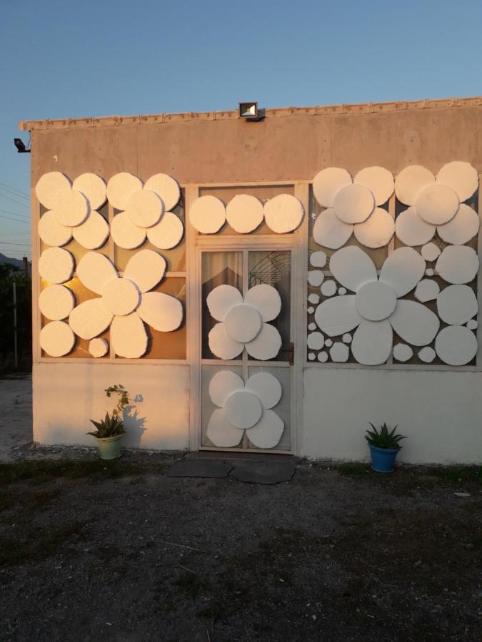 Anza Camping Shkodër Exteriör bild
